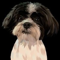 schwarzer und weißer Hund