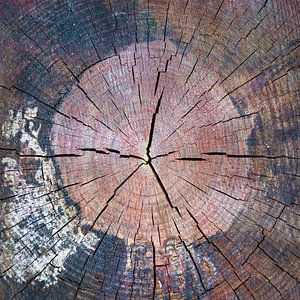 Holz Textur