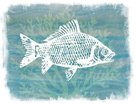 Unidentified fish by Joan Engels