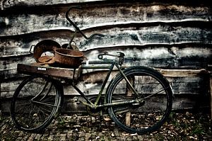 vélo cargo sur Jo Beerens