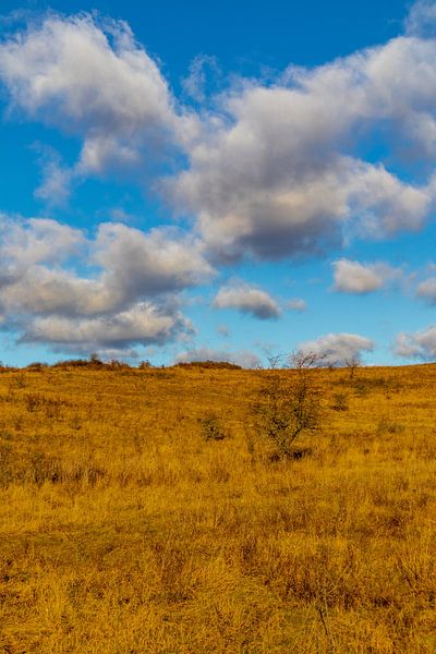 Walk through the beautiful Hainich valley by Oliver Hlavaty