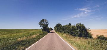 De weg naar nergens - weg tussen veld en weide in het midden van de regio Nier van Jakob Baranowski - Photography - Video - Photoshop