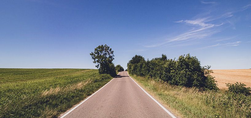 The road to nowhere. Straße zwischen Feld und Wiese im Niergendwo von Jakob Baranowski - Photography - Video - Photoshop