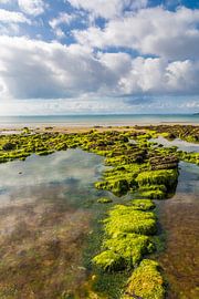 Plage du Porzic at low tide, Morgat, Brittany by Christian Müringer