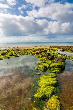 Plage du Porzic à marée basse, Morgat, Bretagne sur Christian Müringer