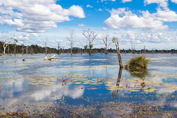 Jayatataka Baray Lake  - Cambodia Siem Reap van Anne Zwagers