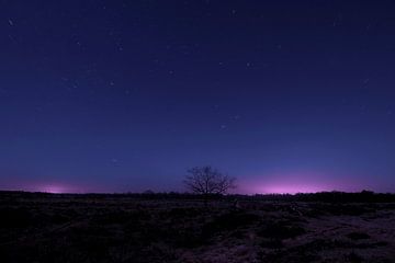 Noorderlicht van Ronald Wilfred Jansen