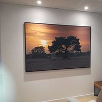 Klantfoto: Zonsondergang zandverstuivings gebied Soesterduinen van Anton de Zeeuw, op canvas