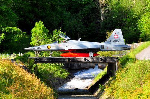 F-5E Tiger II by Rogier Vermeulen