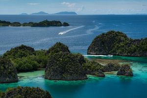 Piaynemo-Inseln in Raja Ampat, Papua
