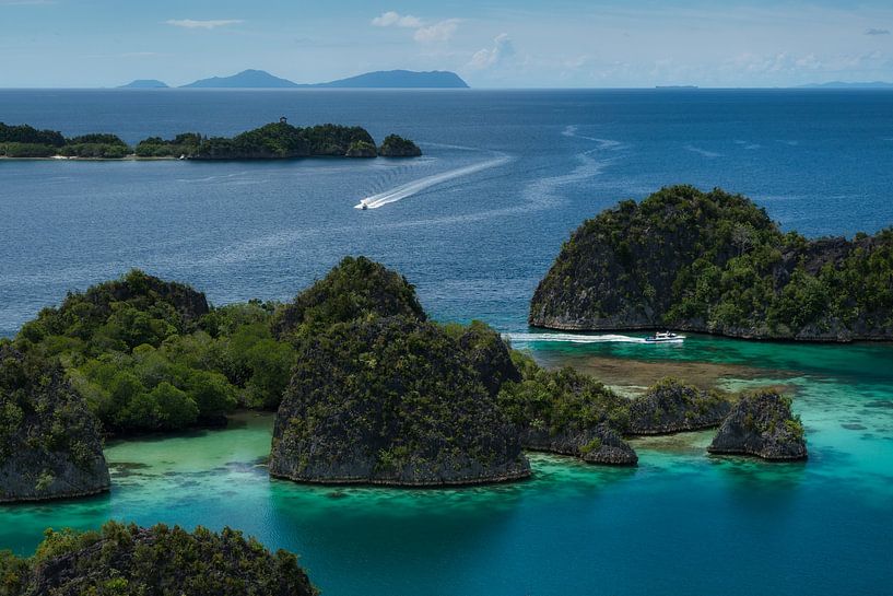 Piaynemo-Inseln in Raja Ampat, Papua von Anges van der Logt