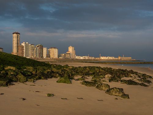 On the edge of land and water....