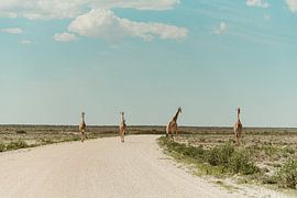 Straßensperre 2.0 von Elien Van den Brande