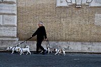 Mensch lässt Hunde raus