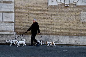 L'homme laisse sortir les chiens
