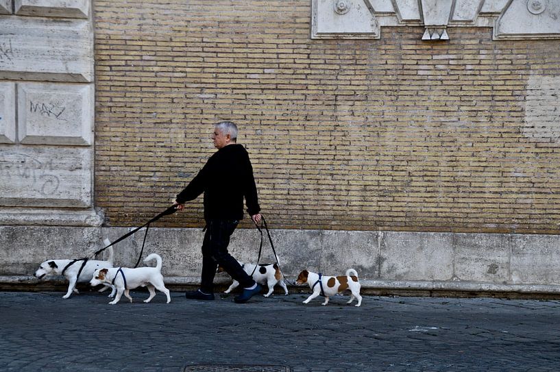 L'homme laisse sortir les chiens par Marieke van der Hoek-Vijfvinkel