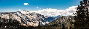 Panorama Landschaft Felsen und Nadelbäume am Tioga-Pass im Yosemite Nationalpark Kalifornien USA