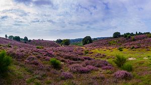Posbank | Sandweg durch die Purple Hills