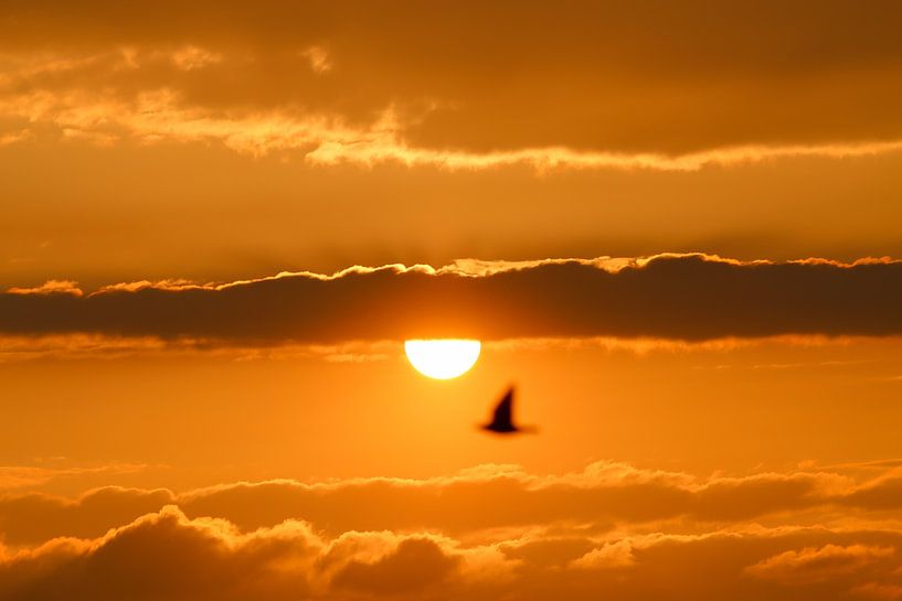 Coucher de soleil r par Michel Jansen Photography
