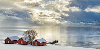 Norweger verschüttet auf dem Ufer von einem Fjord in Nordnorwegen im Winter
