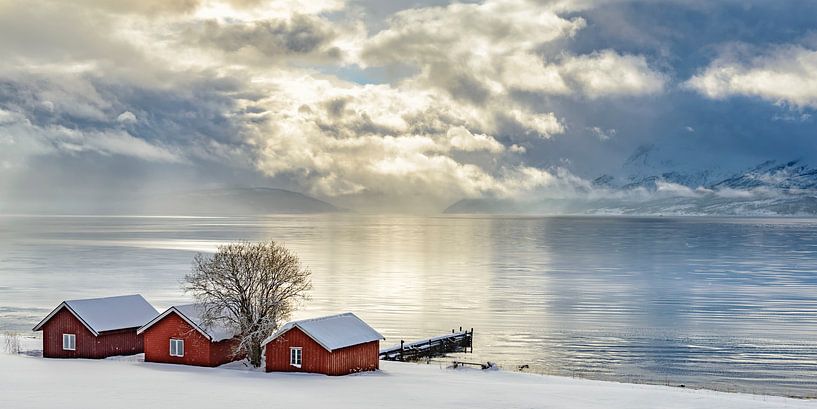 Norwegian sheds on the shore of a Fjord in Northern Norway in wi by Sjoerd van der Wal Photography