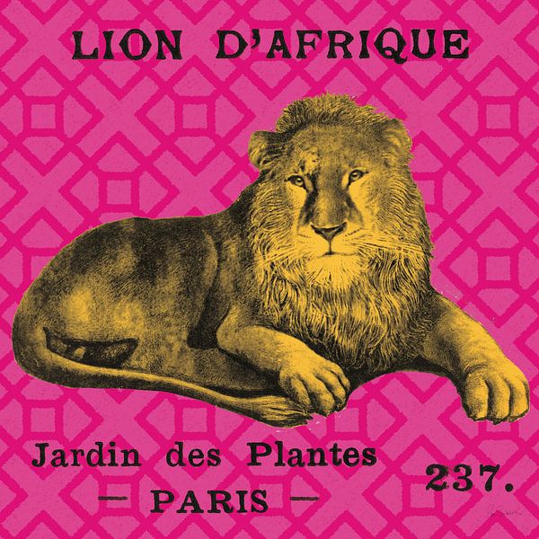 Lion de safari lumineux, Sue Schlabach par Wild Apple