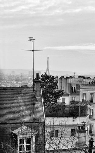 Eifeltoren Parijs in de verte