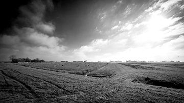 Polder landscape 2 by Robrecht Kruft