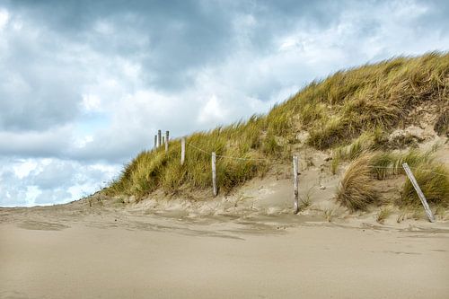 Texel’s Duinen: Een Ode aan Tijdloze Schoonheid