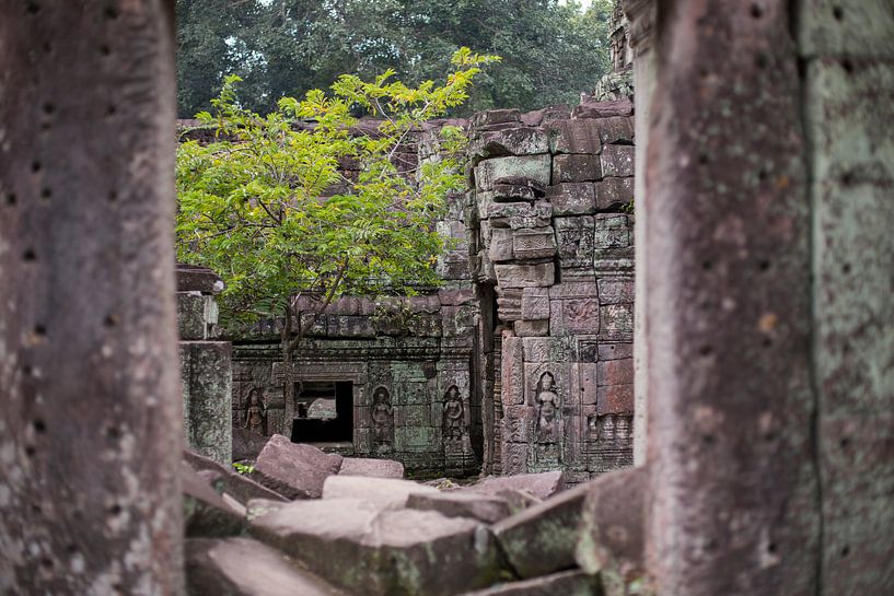 Tempels van Angkor van Yvs Doh