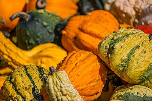 Pompoenmagie in de herfst