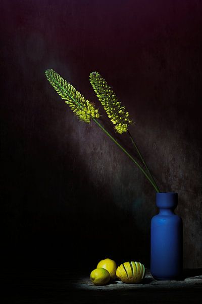 Nature morte magique avec des Eremurus jaunes et des citrons. par Saskia Dingemans Awarded Photographer