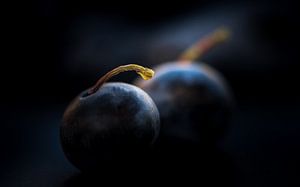 Twee blauwe bessen