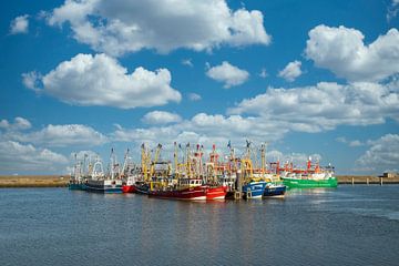 Vissersschepen in de haven van Lauwersoog van Gert Hilbink