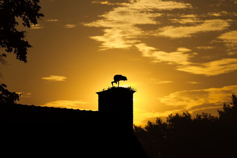 Zonsopkomst met ooievaar in het Markdal, Breda. by Henny van Riel