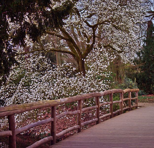 Panorama du parc par Edgar Schermaul
