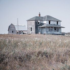 Barbara Verstraate photo de profil