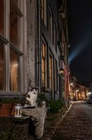 De Nachtwacht