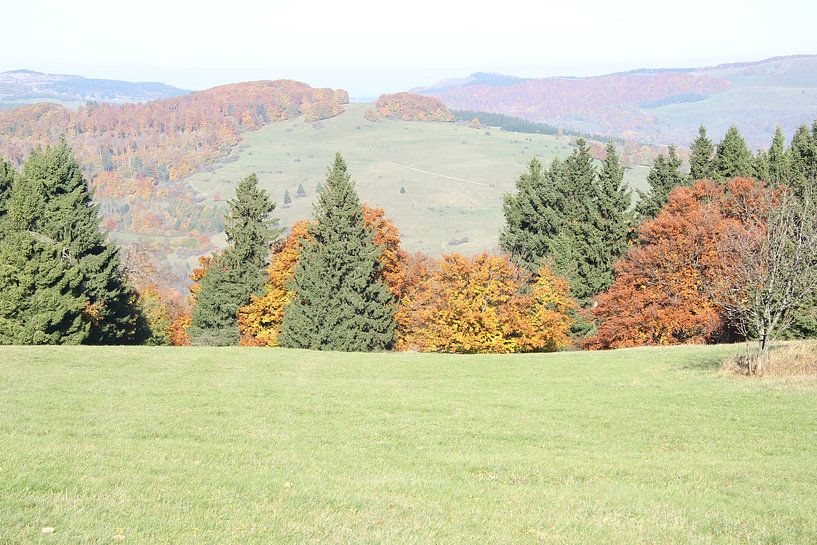 Un automne doré sur le Kreuzberg dans la Rhön par Martin Flechsig