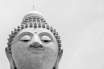 The Big Buddha by Robin Evers