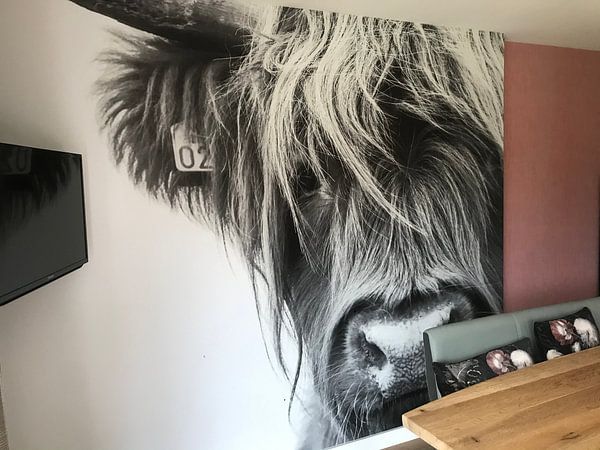 Customer photo: Portrait Scottish Highlander black and white by Sandra van Kampen