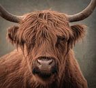 Schottischer Highlander, Porträt in Naturtönen von Marjolein van Middelkoop Miniaturansicht