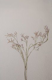 Atempause von Cindy Coenen Fine Art Photography