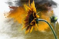 Sunflower van Harry Stok thumbnail