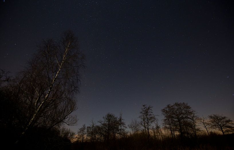Sternenhimmel im Wald von Marcel Kerdijk