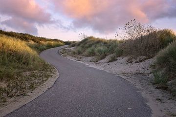 Le chemin à travers les dunes