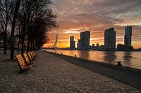 Rotterdam met zonsopkomst