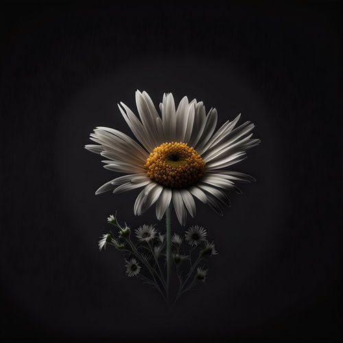 Soloist Madelief low key