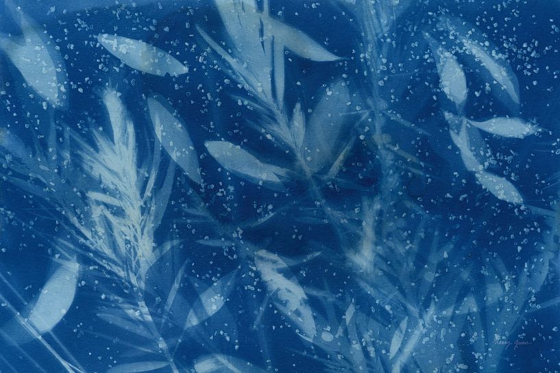 Cyanotype Tropical VII, Nancy Green by Wild Apple