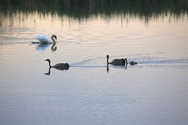 La famille Crane sur Thomas Jäger